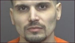 Taylor Mitchell Fischer